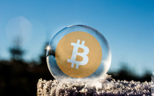 Ảnh của “Bitcoin là bong bóng hoa tulip thế hệ mới” – tuyên bố của phóng viên BBC