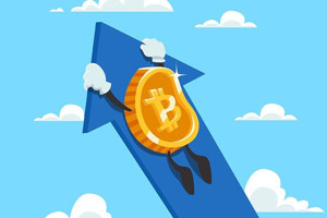 Ảnh của Nhà phân tích on-chain Willy Woo: “Trader mạnh tay tích lũy Bitcoin với tỷ lệ chưa từng có”