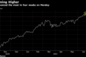 Picture of Oil Steadies After Surge as Investors Assess Tightening Market