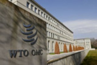 Washington says it sees little scope for deal-making at WTO this year