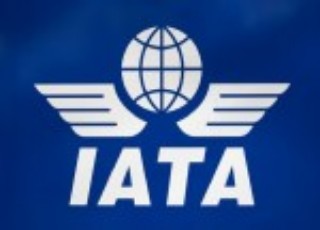 Airline body IATA to open Saudi office but denies it will be regional HQ