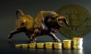 Ảnh của Những người chơi Bitcoin này dường như đang trở lại – Liệu giá có tăng?