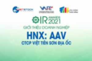 Ảnh của IR AWARDS 2021: Giới thiệu CTCP Việt Tiên Sơn Địa ốc (HNX: AAV)