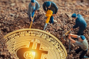 Ảnh của Khai thác Bitcoin đang trở nên phi tập trung hơn rất nhiều vào năm 2021