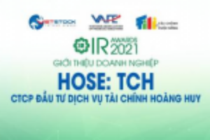 Ảnh của IR AWARDS 2021: Giới thiệu CTCP Đầu tư Dịch vụ Tài chính Hoàng Huy (HOSE: TCH)