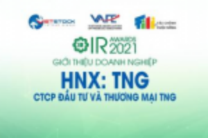 Ảnh của IR AWARDS 2021: Giới thiệu CTCP Đầu tư và Thương mại TNG (HNX: TNG)