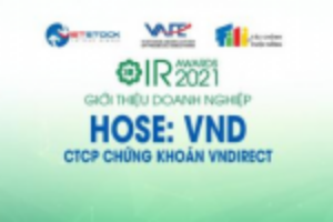 Ảnh của IR AWARDS 2021: Giới thiệu CTCP Chứng khoán VNDirect (HOSE: VND)