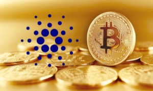 Ảnh của Bitcoin lại mất mốc $46k trong khi ADA hạ nhiệt