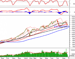 Ảnh của Phân tích kỹ thuật phiên chiều 27/08: VN-Index xuất hiện cây nến Hammer