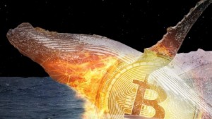 Ảnh của Bitcoin nỗ lực giữ hỗ trợ trên $60k trong khi cá voi xả hàng – Tiếp theo là gì?