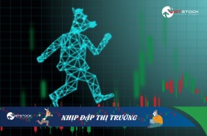 Ảnh của Nhịp đập Thị trường 25/11: Mở cửa tích cực dù sức nóng trên nhóm ngân hàng giảm bớt