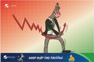 Ảnh của Nhịp đập Thị trường 30/11: Ngân hàng đưa VN-Index về quanh mốc 1,500 điểm