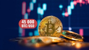 Ảnh của Bò Bitcoin cố gắng đẩy giá lên trên 45.000 đô la để đảo ngược xu hướng