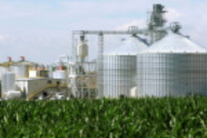 Picture of Analysis-White House weighs inflation vs. farmers in new biofuel mandates