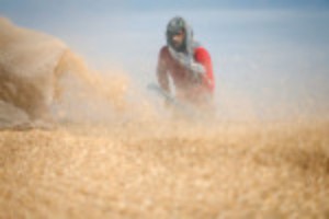 Picture of Gaza flour mills ground down by Russian-Ukraine conflict