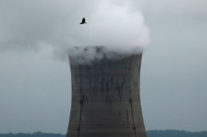 Picture of Americans split on nuclear energy as safety worries linger - Reuters/Ipsos poll