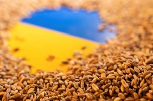 Picture of Analysis-The sea mines floating between Ukraine’s grain stocks and the world