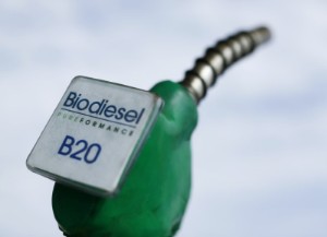 Picture of Exclusive-Britain, Germany push G7 for halt to biofuel mandates to tame food prices