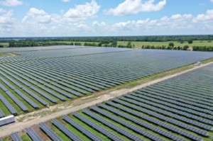 Picture of U.S. solar prices soared over 8% in 2nd qtr -report