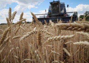 Picture of As Ukraine grain deal emerges, U.S. aims to ease concerns over Russia sanctions