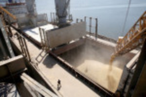 Picture of Seafarer shortage stands in way of Ukraine grain corridor