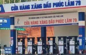 Ảnh của Tước giấy phép kinh doanh bảy doanh nghiệp xăng dầu đầu mối