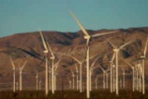 Picture of Analysis-U.S. renewables investors see Senate bill sparking gold rush