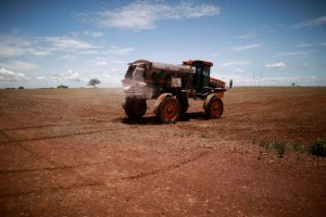 Picture of Brazil too important a food producer to depend on fertilizer imports, industry says