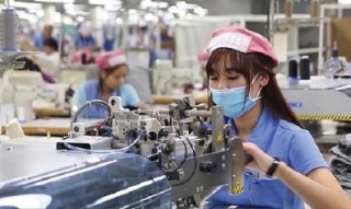 Ông Vũ Tiến Lộc: Quá đau khi thấy doanh nghiệp FDI khai thác tài nguyên, lao động giá rẻ