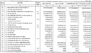 Ảnh của Haxaco (HAX): Lãi quý 3/2022 giảm mạnh vẫn vượt chỉ tiêu cả năm sau 9 tháng