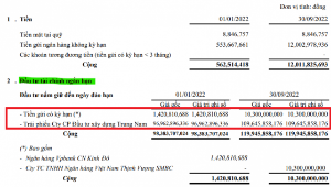 Ảnh của Công ty từng liên quan đến Chủ tịch Gelex: Đặt mục tiêu lỗ năm 1,35 tỷ đồng, nợ phải trả bất ngờ tăng 3.700% sau 9 tháng