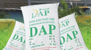 Ảnh của Giá phân bón tăng cao, DAP VINACHEM (DDV) báo lãi 9 tháng đạt 350 tỷ đồng