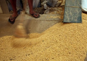 Picture of Bolivian strike over census delay paralyzes agriculture export hub