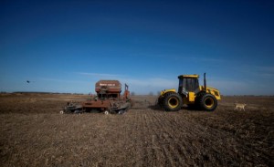 Picture of Exclusive-Argentina set to permit wheat export delays amid drought - sources