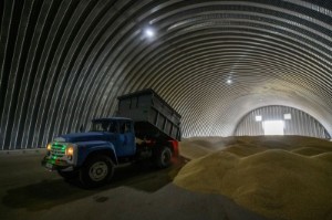 Picture of Soybeans climb on short-covering; wheat, corn also higher