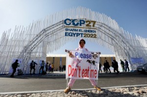 Picture of Explainer-COP27: what's on the U.N. climate talks agenda