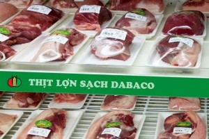 Ảnh của DBC lao dốc, Chủ tịch Nguyễn Như So vẫn bán xong 10 triệu cổ phiếu Dabaco