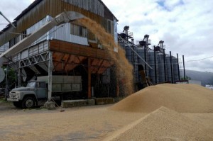 Picture of Ukrainian farmers turn to UN-supplied grain sleeves to save their business