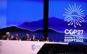 Picture of Countries agree on 'loss and damage' fund, final COP27 deal elusive