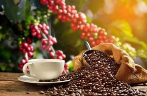 Ảnh của Giá cà phê hôm nay 22/11: Robusta giảm 15 USD