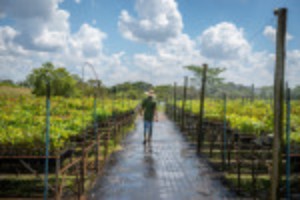 Picture of At COP15 summit, U.N. announces nature restoration priorities through 2030