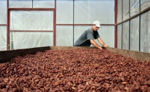 Picture of Holiday Chocolate Demand Seen Rebounding as Covid Rules Ease