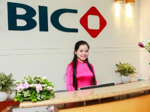 Ảnh của Bảo hiểm BIDV (BIC) điều chỉnh giảm kế hoạch lợi nhuận năm 2022