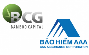 Ảnh của Bamboo Capital (BCG) cắt gần nghìn tỷ vốn góp vào công ty bảo hiểm