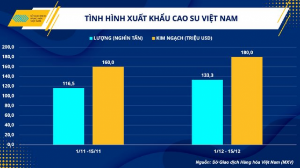 Ảnh của Ngành cao su Việt Nam nỗ lực vượt qua thách thức