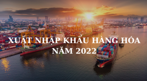 Ảnh của Tình hình xuất nhập khẩu hàng hóa của Việt Nam năm 2022