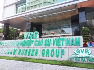 Ảnh của Tập đoàn Cao su Việt Nam (GVR) ước lãi quý 4/2022 “đi lùi” 47%