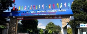 Ảnh của Đường Quảng Ngãi: QNS trôi về “đáy” 1 năm, Tổng Giám đốc muốn gom lượng lớn cổ phiếu