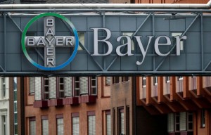 Picture of Bayer shares gain on prospect of second activist pushing for change