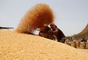 Picture of India and United States to increase dialogue on food, agricultural trade in 2023